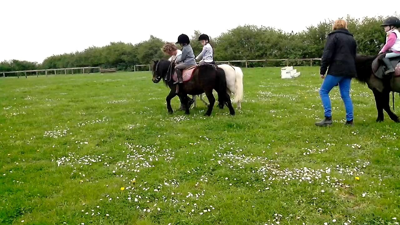 VID_20140403_175113