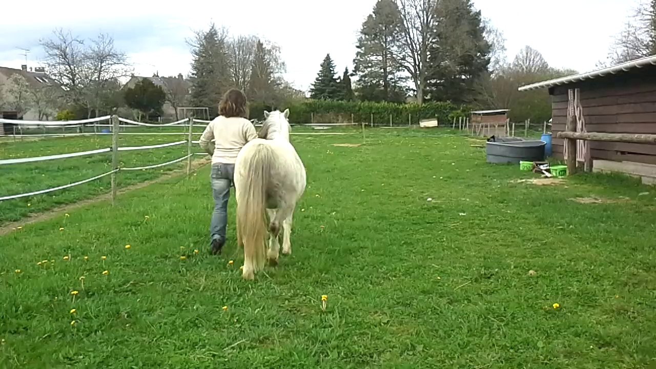 Hugo trot 2