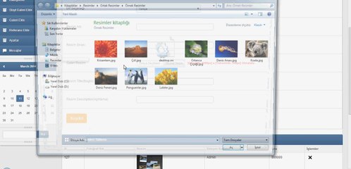 Expo Ajans - Galeri Sayfası