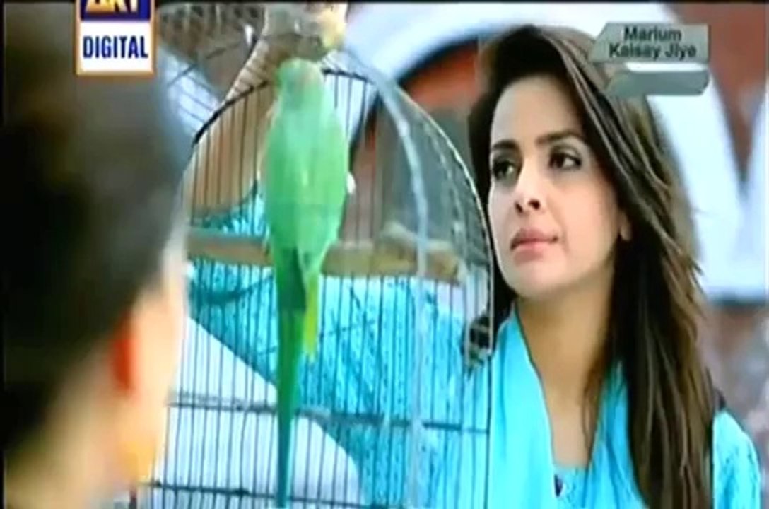 Bay Emaan Mohabbat  Episode 10 Full ON   Ary , 6 April 2014