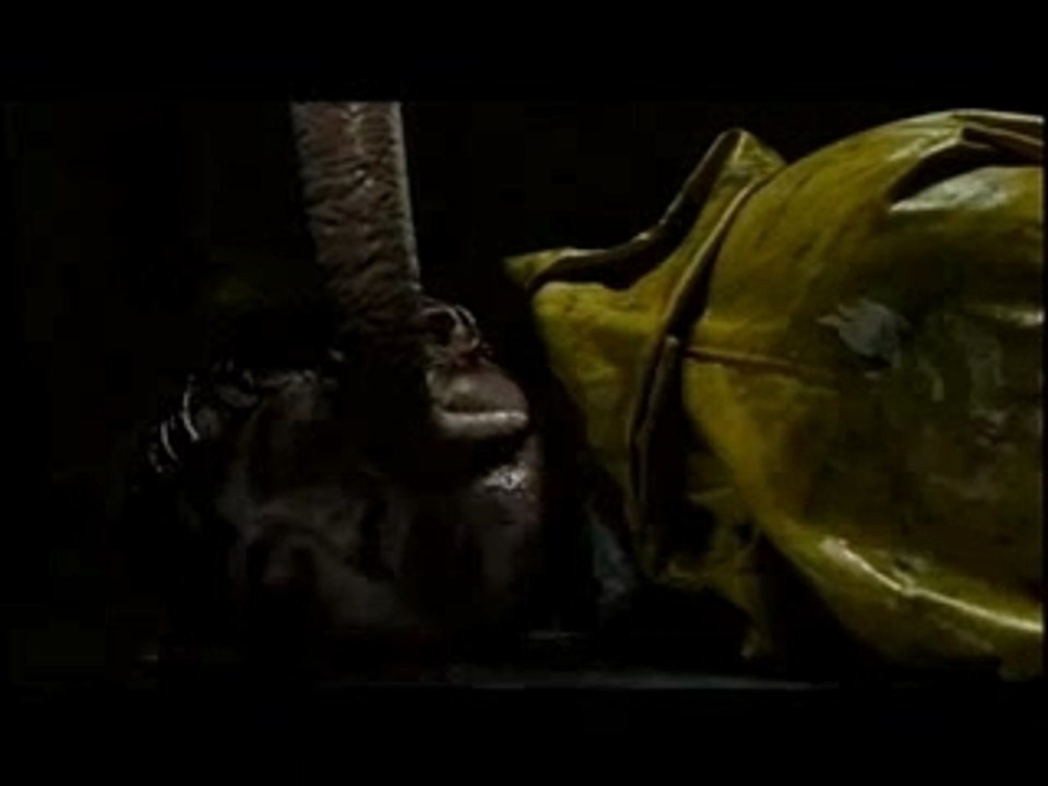 Host Trailer