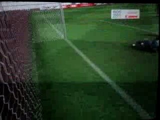 amorti poitrine vole