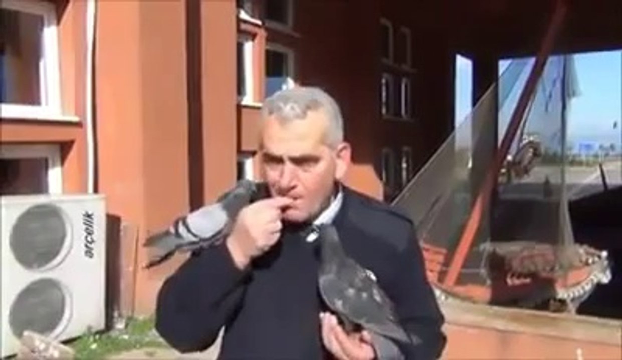 polisin-guvercin-sevgisi