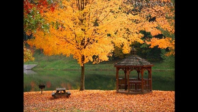 Tadı Yok Dünyanın Sensiz Tadı Yok - Hüseyin Turhan