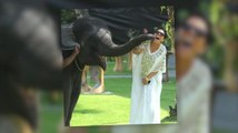 Selfies with Elephants & Sun Tanning On The Kardashians' Final Day In Thailand
