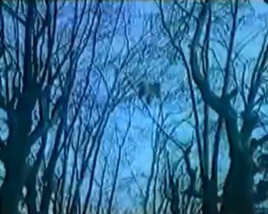 ARZU KARADOĞAN ''ARKADAŞK''