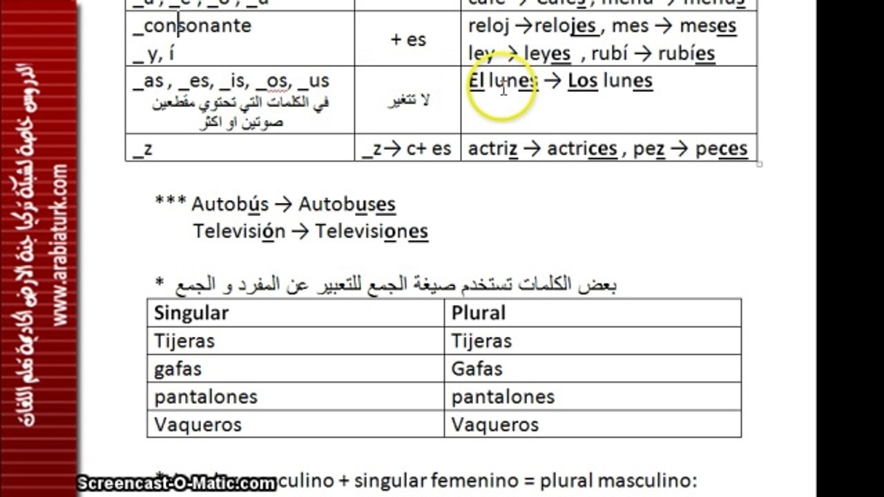 تعلم معنا اللغة الاسبانية مجانا المستوى الاول الدرس الثالث - المفرد والجمع