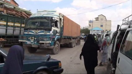 Two foreign UN workers shot dead in central Somalia