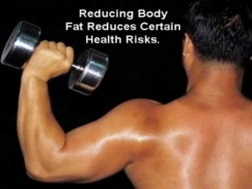 Body Fat Tracker