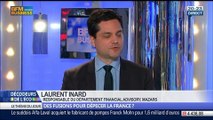 Des fusions pour dépecer la France ?, dans Les Décodeurs de l'éco - 07/04 5/5