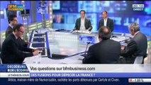 Des fusions pour dépecer la France ?, dans Les Décodeurs de l'éco - 07/04 4/5