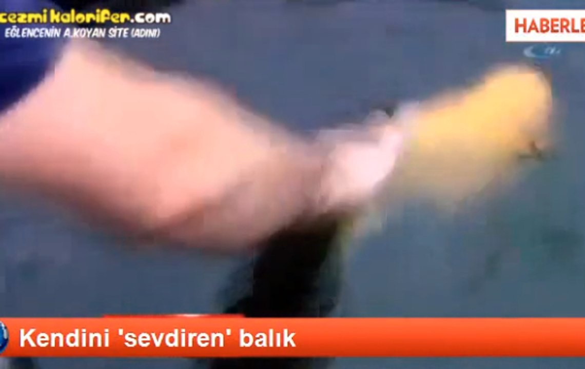 Kendini Sevdiren Balık