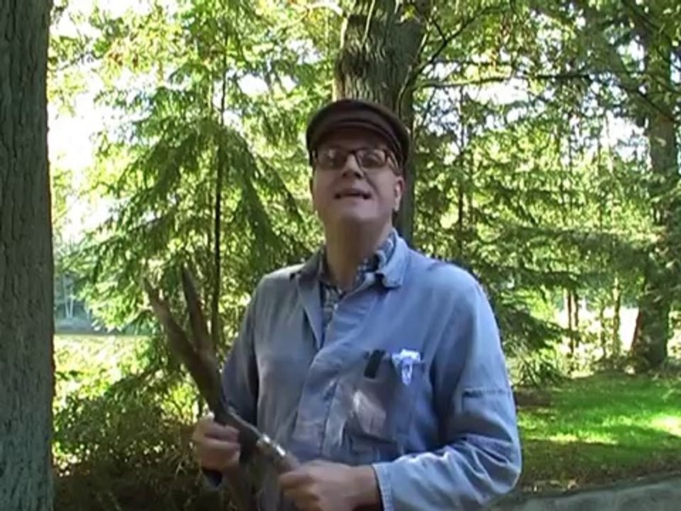 Deutschland ohne Regierung%21 Keiner will mit Merkel. FDP regiert sich aus Bundestag%21