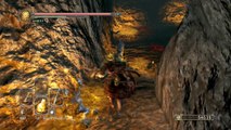 Dark Souls 2 Gameplay Walkthrough #31 | The Shaded Woods Part 4 | NG  Lvl200 