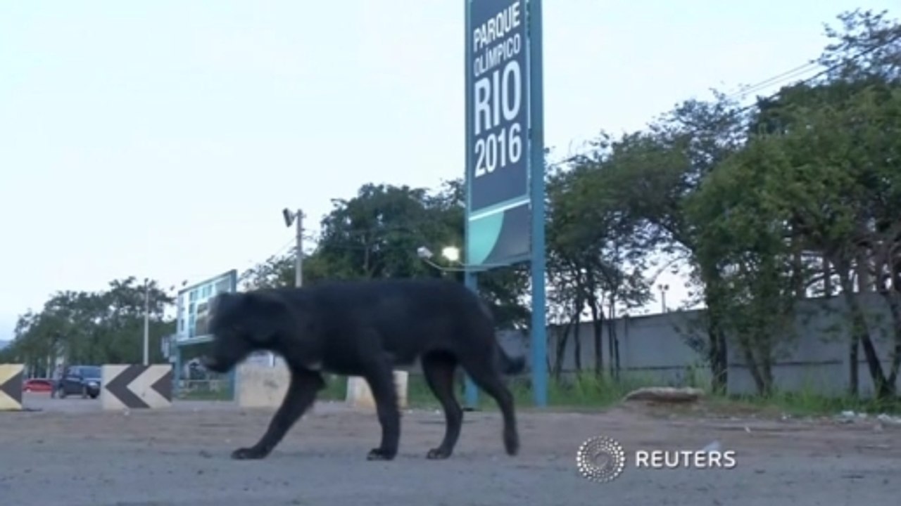 Workers at Olympic park in Rio continue strike