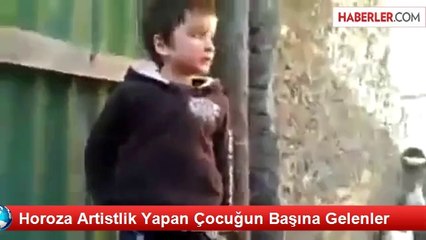 Horoza Artistlik Yapan Çocuğun Başına Gelenler