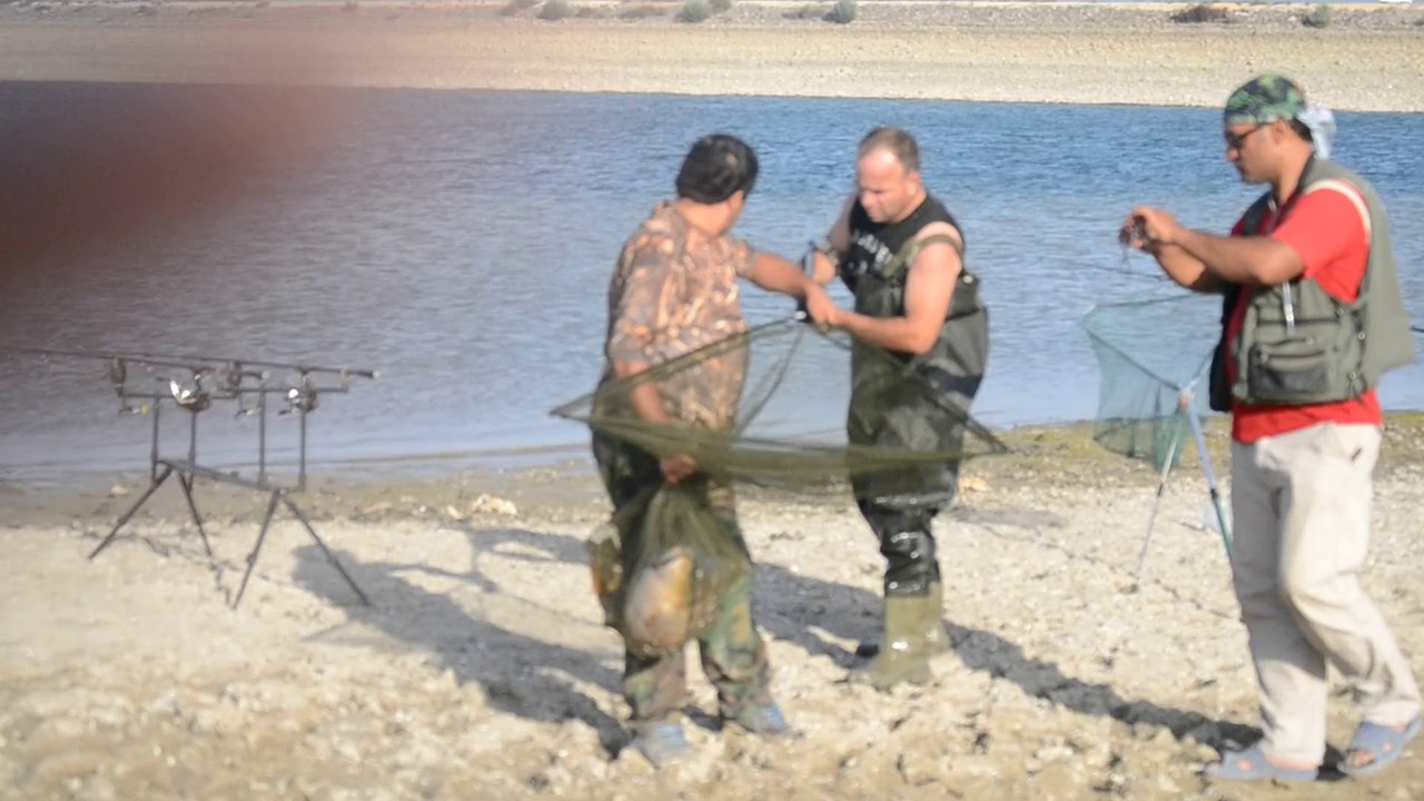 sakarya54 carpteam