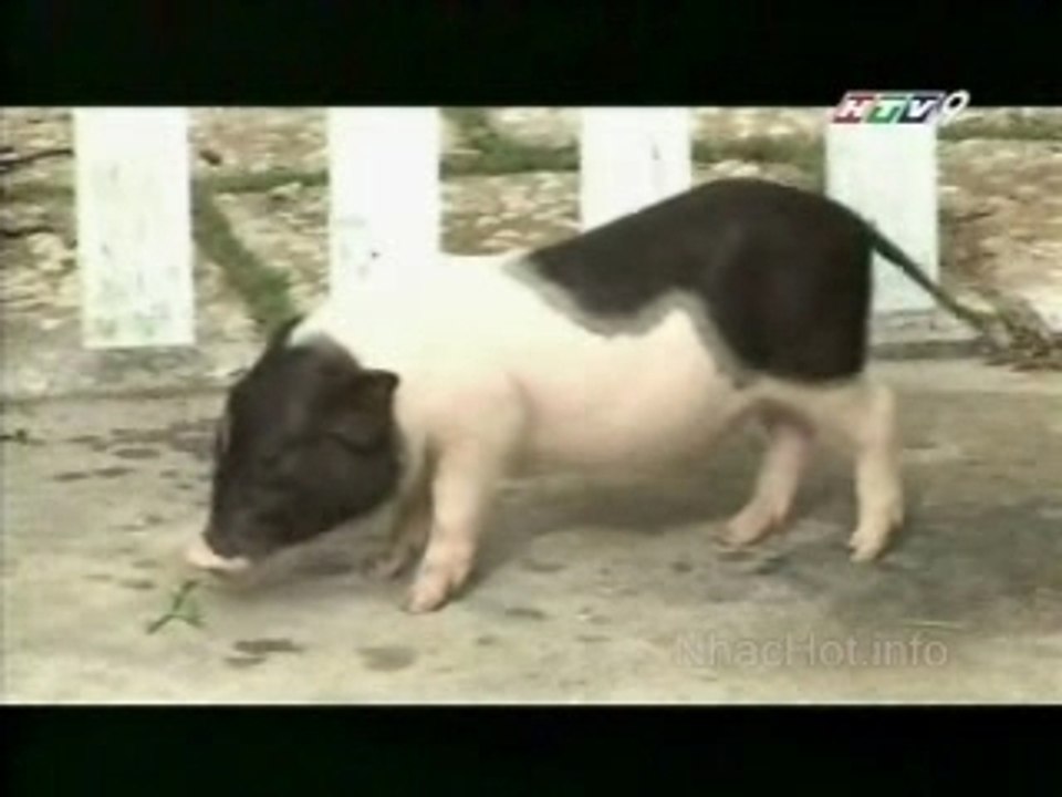 Tuyet Nhiet Doi Ep.23