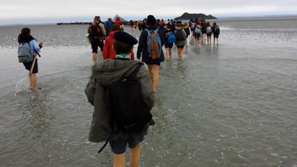 700 scouts au Mont-Saint-Michel