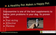Best Glucosamine For Dogs - Find the best glucosamine supplement for your pet