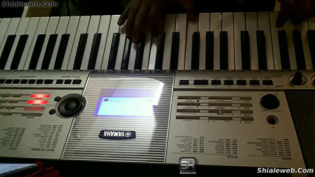 pideme la luna - cantando con un teclado sintetizador