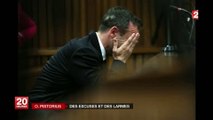 Pistorius s'excuse mais maintient sa version