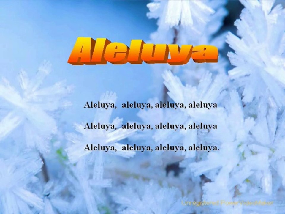 EL HIMNO EVANGELICO DEL DIA: "ALELUYA, ALELUYA"