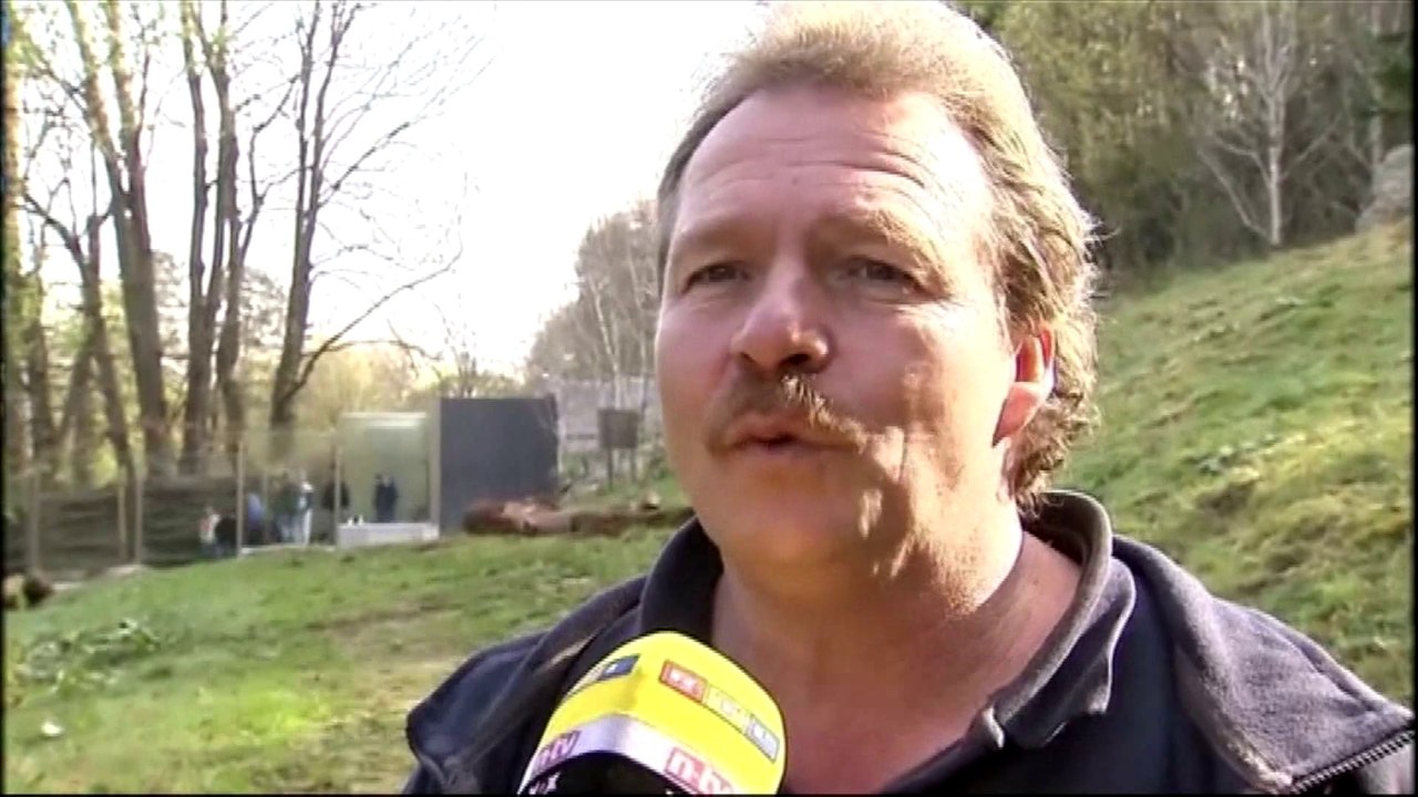 Nobby et Nela, les noms des deux oursons blancs de Munich