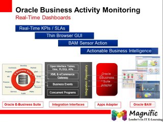 Management Pack Plus for SOA  Lower the TCO of Your SOA Infrastructure