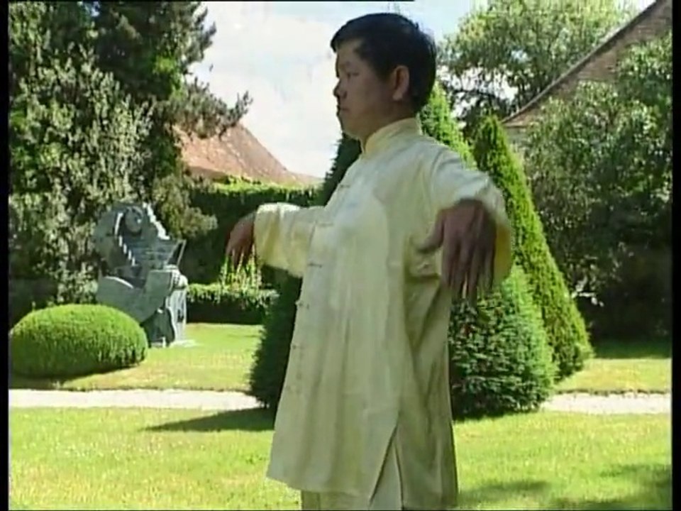 18 exercices de Tai Ji Qi Gong - Cours et démontration - Vidéo Dailymotion