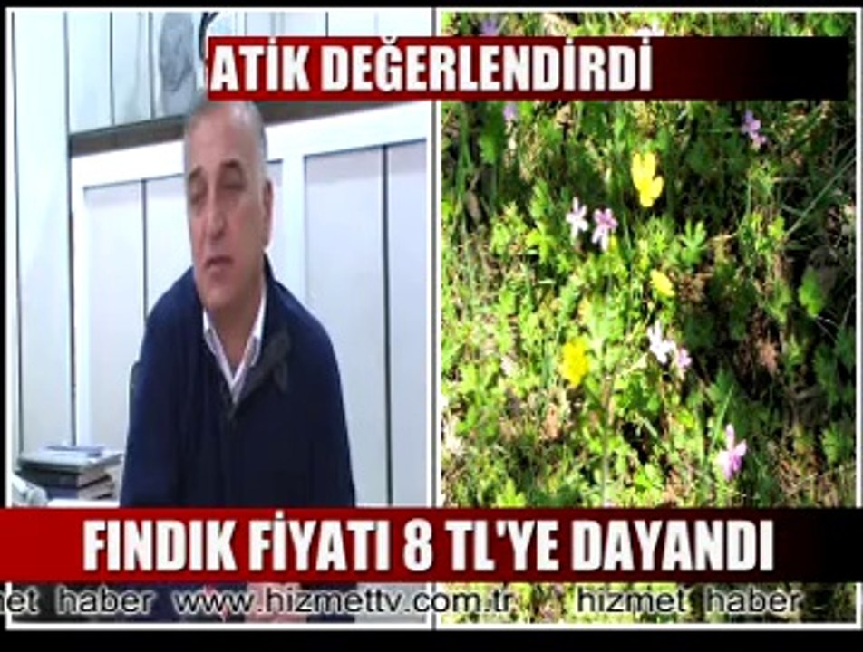 ATİK FINDIK