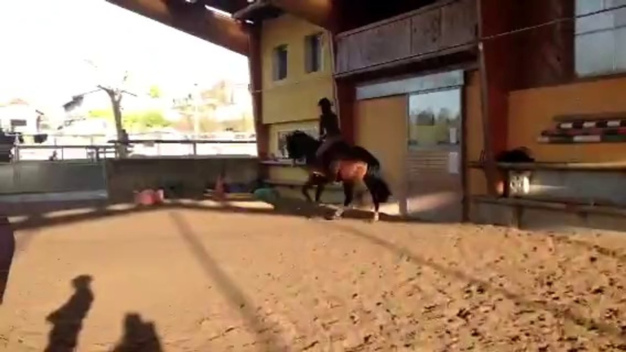 Essai