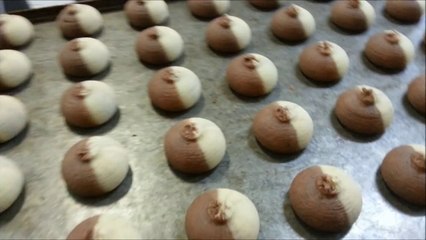 TMAK MAKINA - ÇİFT RENK - DOUBLE COLOUR