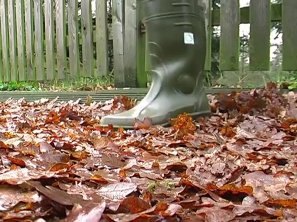 Tag der Menschenrechte 2013. Vitali Klitschko for President in der Ukraine