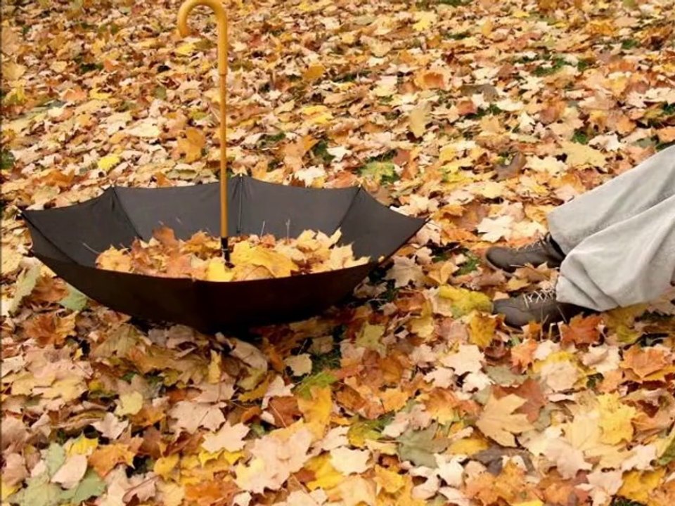 AJDA PEKKAN-YA SONRA