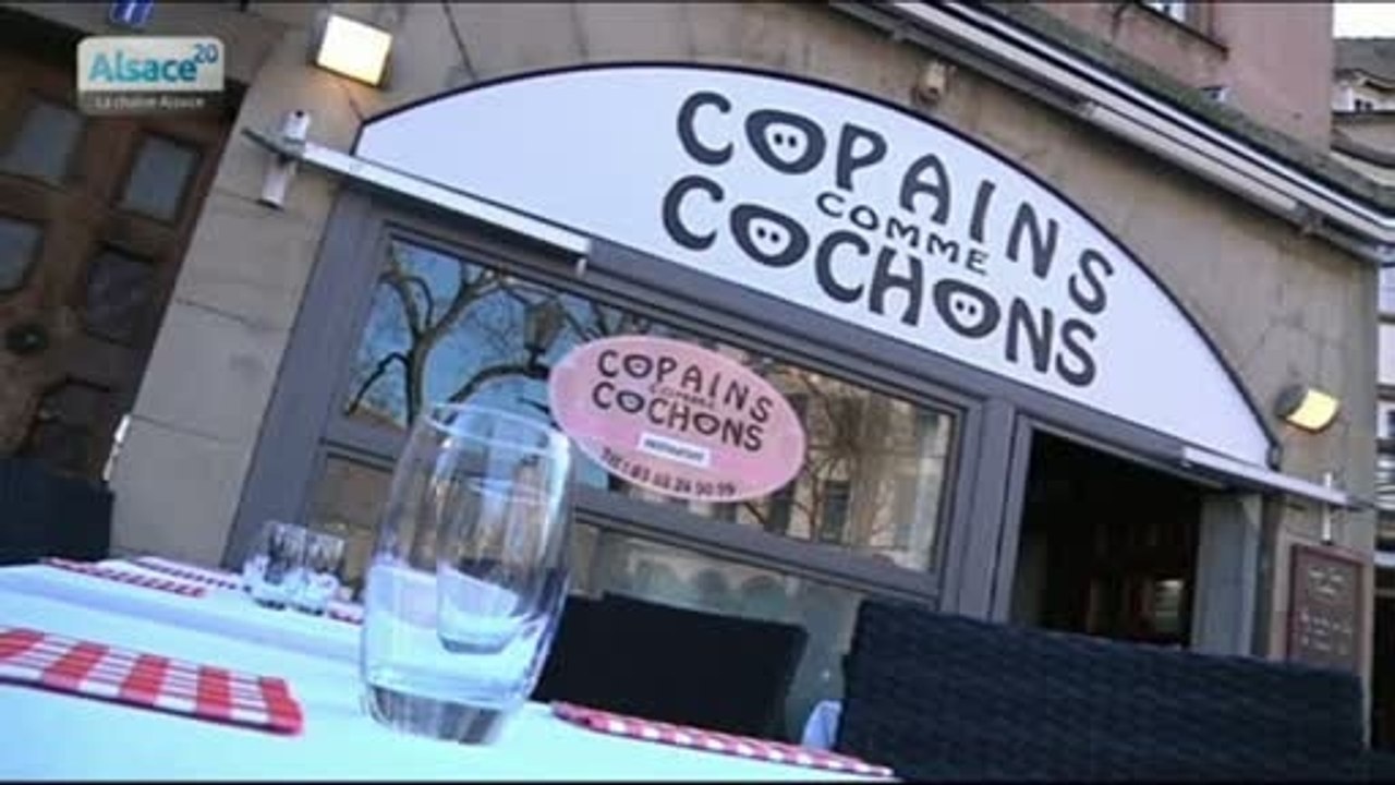 Grain de Sel: Copains comme Cochons !