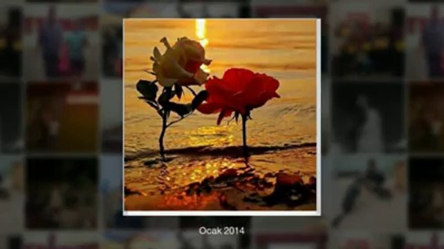 SesliKonya.Com Sesli Sohbet Kamerali Sesli Chat Online Sesli Sohbet Sitesi Chat Platformu.