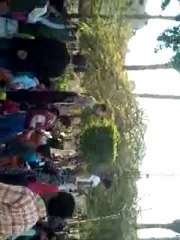 Mostafa Show: Your Daily Dose of Entertainment