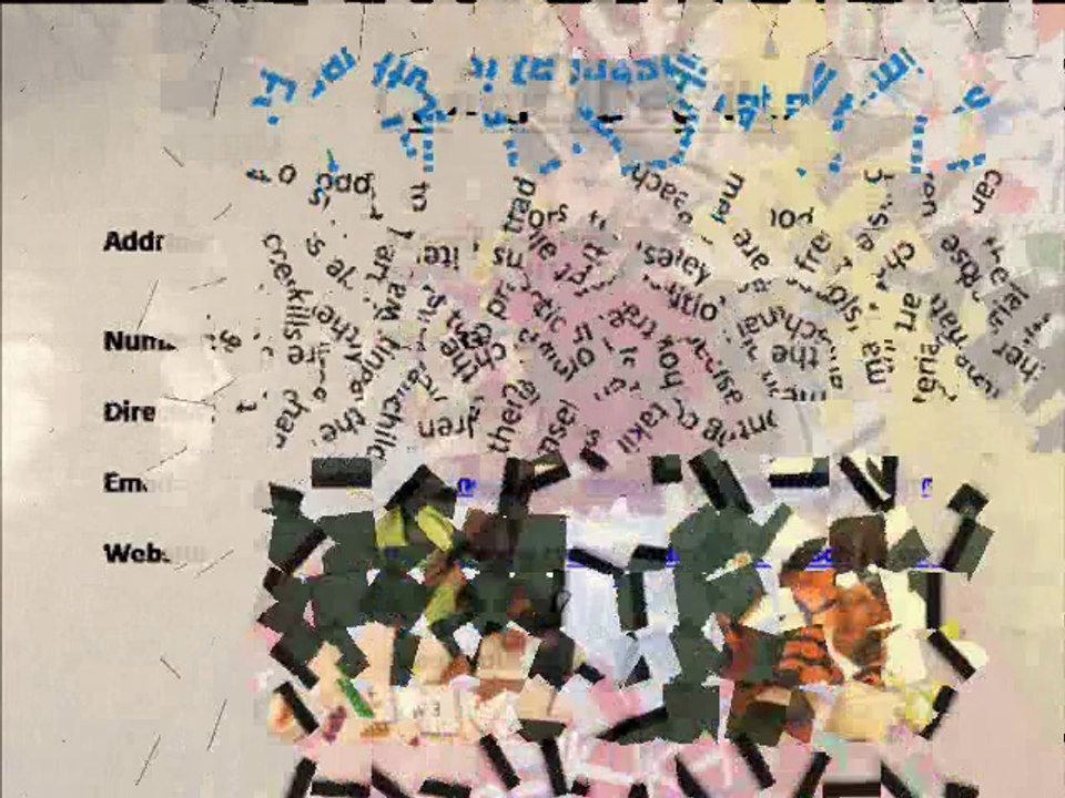 Development of Children in a Montessori schools