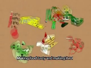 Micro Organisms - YouTube