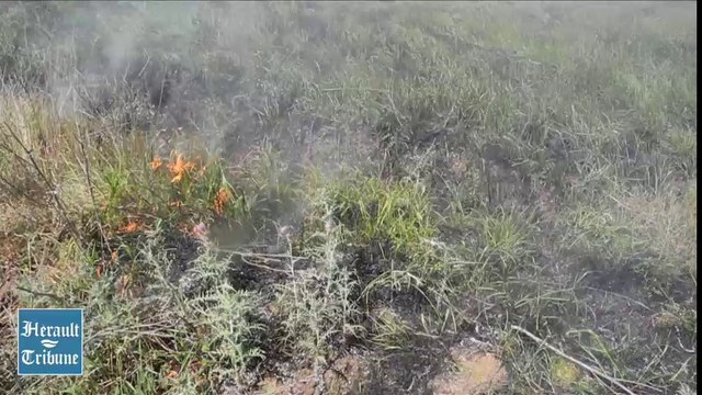 Cap d'AGDE - 2014 - 2 hectares d'herbes & broussailles partie en fumée