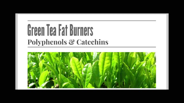 Green Tea Weight Loss Supplements