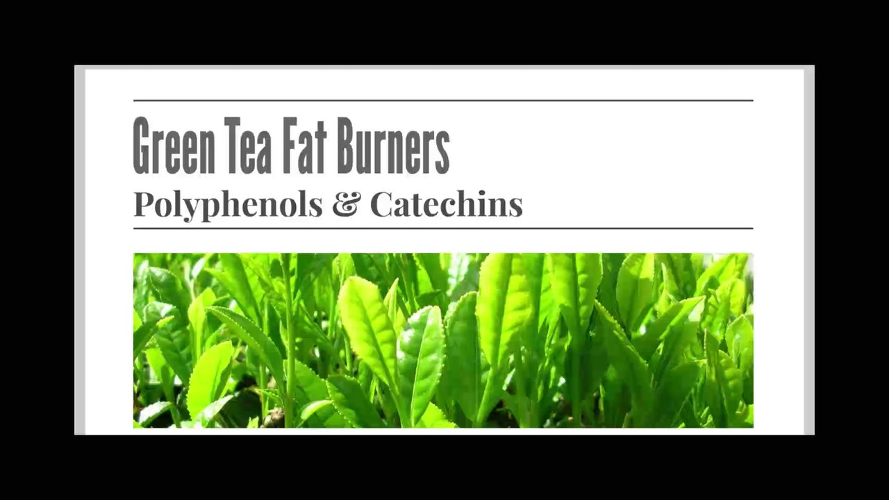 Green Tea Weight Loss Supplements