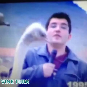 Aykut Elmas En Yeni Vineları 2014 En Eğlencelileri