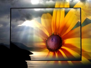 Hz. Yunus Misali - Mustafa Caymaz