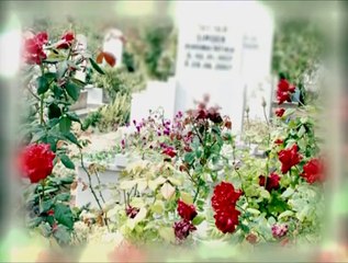 İbret Halim - Mustafa Caymaz