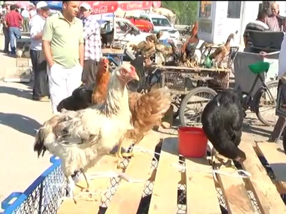 edirne-kapi-kus-pazari