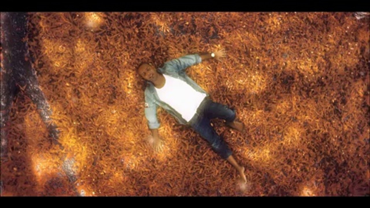 ARASH feat Helena- Broken Angel