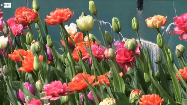 Las flores invaden el castillo de Groot-Bijgaarden en primavera