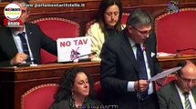 #NOTAV, M5S contro la ratifica del trattato - Luigi Gaetti - MoVimento 5 Stelle